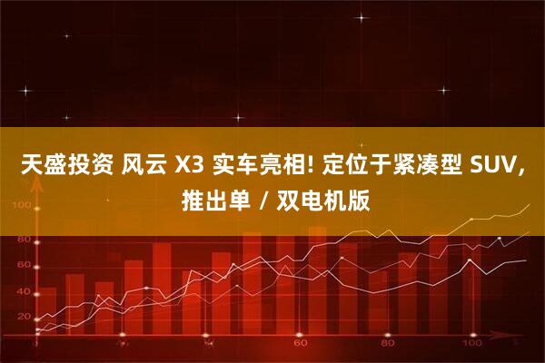 天盛投资 风云 X3 实车亮相! 定位于紧凑型 SUV, 推出单 / 双电机版