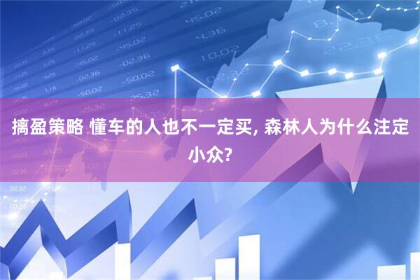 摛盈策略 懂车的人也不一定买, 森林人为什么注定小众?