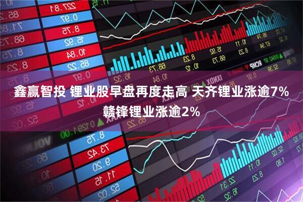鑫赢智投 锂业股早盘再度走高 天齐锂业涨逾7%赣锋锂业涨逾2%