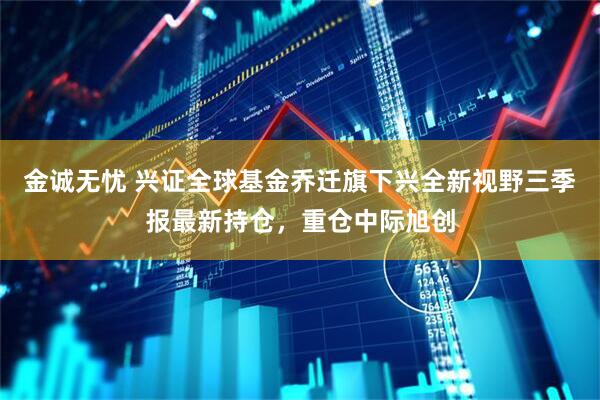 金诚无忧 兴证全球基金乔迁旗下兴全新视野三季报最新持仓,重仓中际旭创