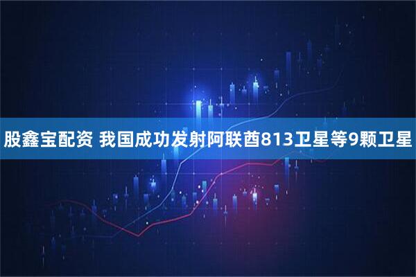 股鑫宝配资 我国成功发射阿联酋813卫星等9颗卫星